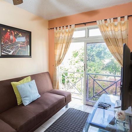 Cozy Accommodations 킹스톤 외부 사진